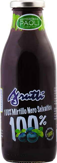  100% Mirtillo Nero Selvatico 50cl